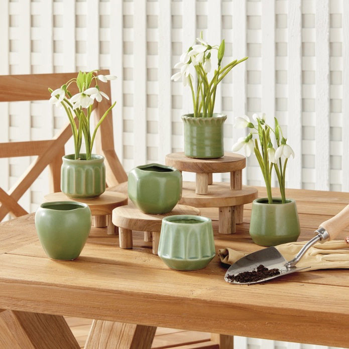 Six NAPA HOME AND GARDEN - DEZIE MINI POTS by NAPA HOME AND GARDEN, each uniquely shaped and textured in green, are crafted from high-fired stoneware and arranged in a row on a white background.
