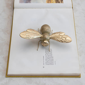 The RESIN BEE by CREATIVE COOP is a metallic, gold-colored decorative bee figurine featuring detailed wings, antennae, and body texture. Viewed from above, its intricate design captures the bee's natural segments and wing patterns, making it a realistic yet stylized unique display-worthy piece.