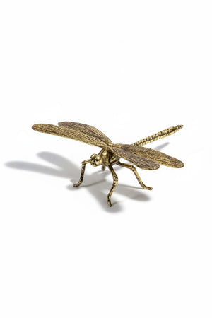 The ZODAX GOLD DRAGONFLY is a gold-hued figurine with detailed, textured wings and body, posed as if flying against a white backdrop. Its size resembles that of a standard wallet.