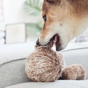 A fluffy, spherical toy from LAMBWOLF COLLECTIVE, resembling a squirrel with a bushy tail and small ears, rests on a white surface. Covered in soft brown and cream fur, this SQUIRREL POP DOG TOY LARGE is perfect as an adorable dog toy!.