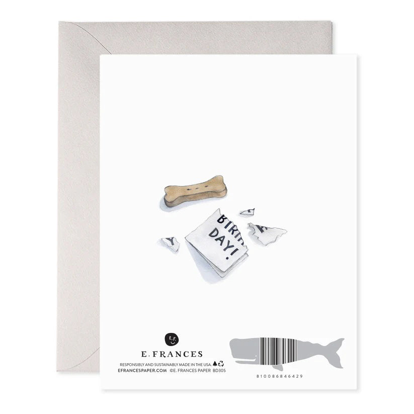 The E. FRANCES PAPER - SHEEPDOG BELATED GREETING CARD showcases a handcrafted watercolor of a fluffy, sad-looking sheepdog with the caption "Sooo... the dog ate your on-time birthday card," and comes with a gray envelope.