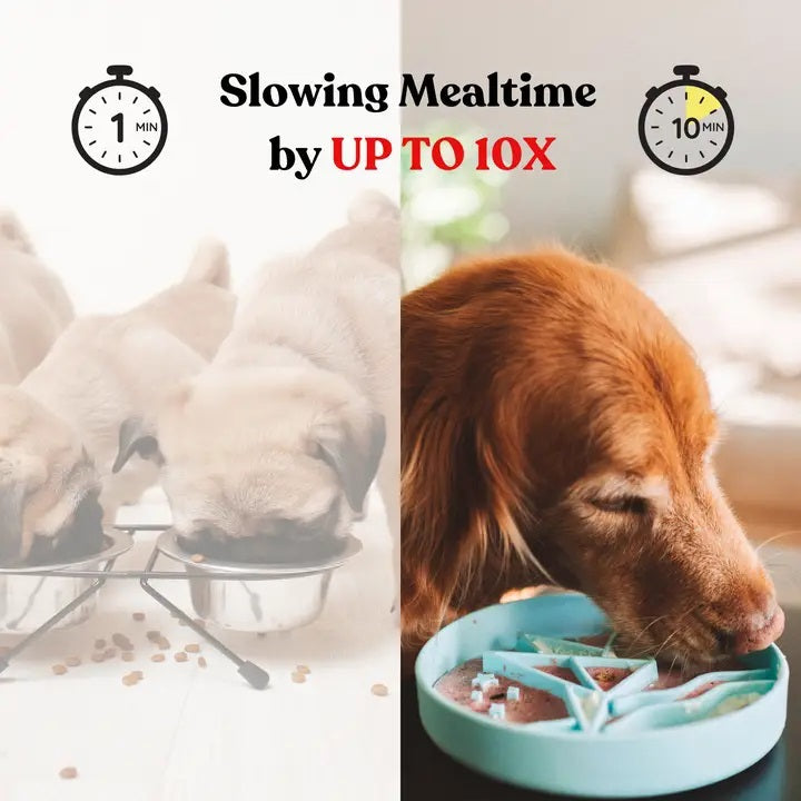 Introducing the MUSHROOM SLOW FEEDER by BARKS & BROWNIES—a round beige plate featuring raised sections that create a delightful scene of a mushroom house, clouds, moon, plants, grass, and a small snail in the foreground. Thoughtfully outlined to keep food separated, this charming design encourages slower eating for your pup while making mealtime more enjoyable.
