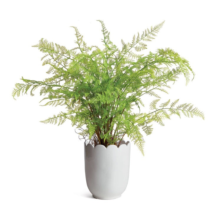 The NAPA HOME AND GARDEN - Mirabelle Scalloped Edge Cachepot is an Italian-style, white ceramic vase featuring a smooth finish and elegant scalloped rim, ideal for decorative interior use.