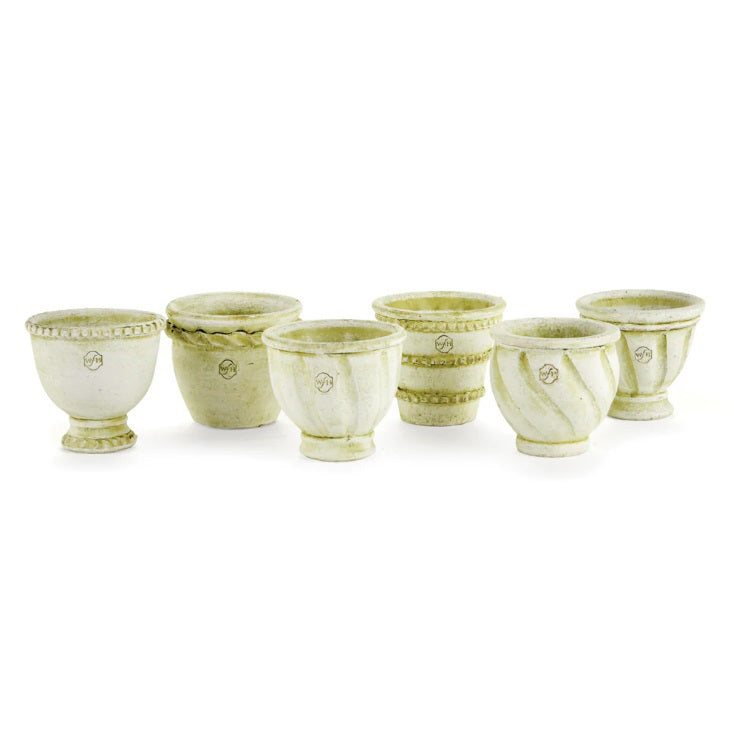 Three NAPA HOME AND GARDEN WAKEFIELD MINI POTS, each with a green succulent, sit on a rustic wooden surface outdoors. These charming, decorative planters are expertly crafted for style and elegance.
