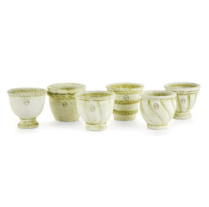Three NAPA HOME AND GARDEN WAKEFIELD MINI POTS, each with a green succulent, sit on a rustic wooden surface outdoors. These charming, decorative planters are expertly crafted for style and elegance.