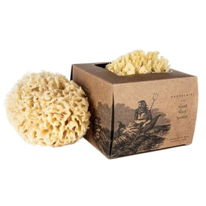 A natural BAUDELAIRE bath sea sponge from the “BATH SEA SPONGE GIFT BOX, SMALL” rests beside a brown box featuring an illustrated figure and the product label. Another sustainable bath sponge from BAUDELAIRE is partially visible inside the box.