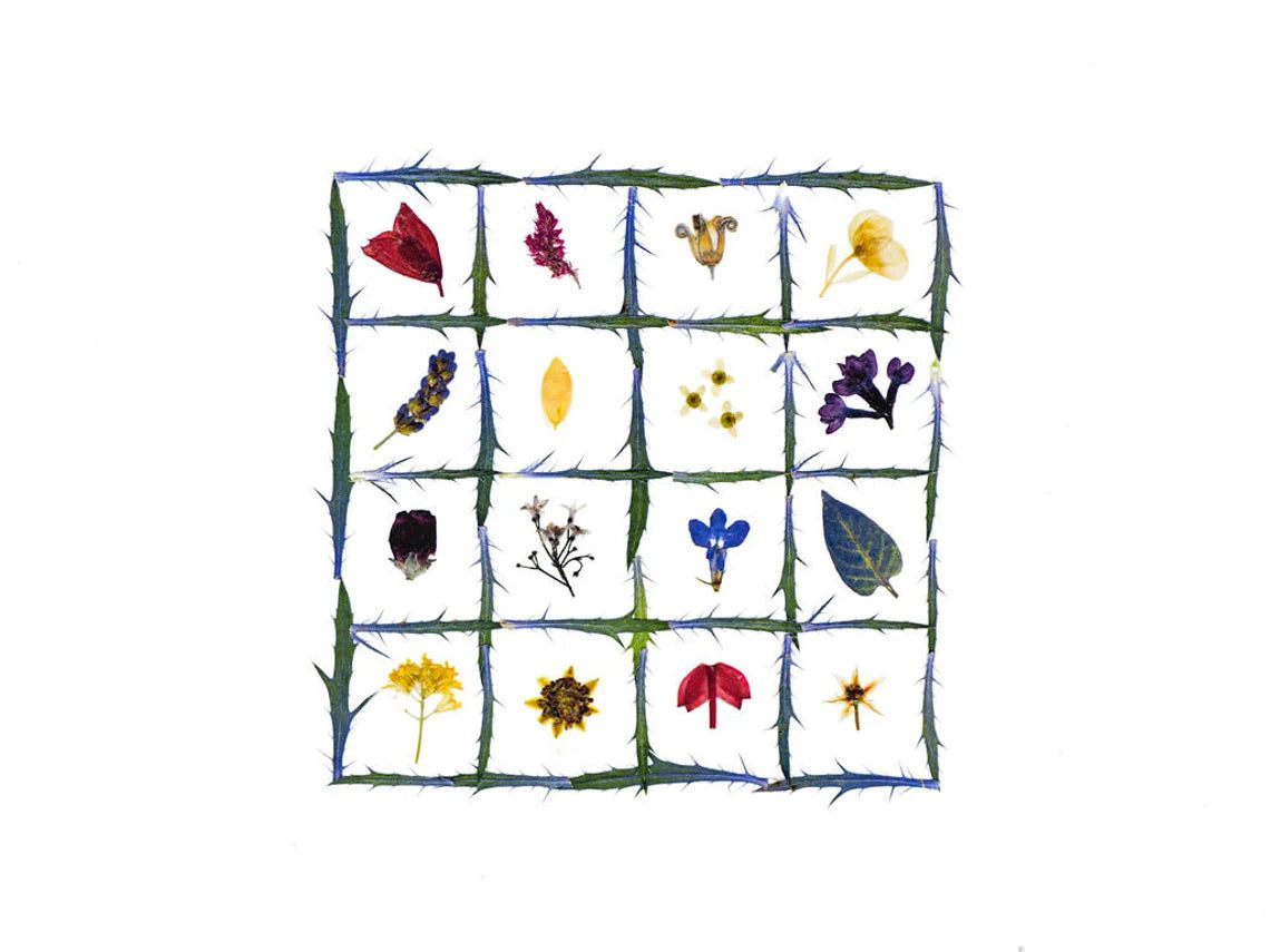 The PETAL PEOPLE PRESS - FLOWER QUILT CARD by PETAL PEOPLE PRESS features a grid of green stems filled with vibrant pressed flowers and leaves on a white background—a beautiful botanical design ideal for any blank notecard.