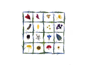 The PETAL PEOPLE PRESS - FLOWER QUILT CARD by PETAL PEOPLE PRESS features a grid of green stems filled with vibrant pressed flowers and leaves on a white background—a beautiful botanical design ideal for any blank notecard.