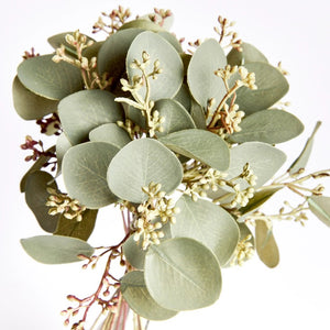 The NAPA HOME AND GARDEN Silver Dollar Eucalyptus Cuttings feature round, pale green leaves and light brown buds tied with twine. They are ideal for interior decor, adding a crafted contemporary touch against a plain white background.