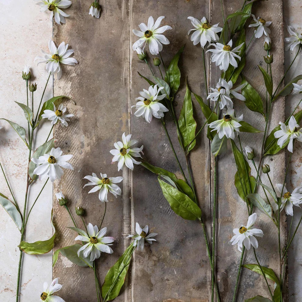 The ABIGAIL AHERN - WILD COSMOS botanical stem features green leaves and small white blossoms, creating a meadow-inspired silhouette against a plain white background.