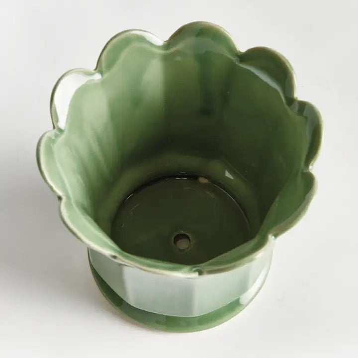 The NAPA HOME AND GARDEN - Maline Footed Pot in Green (Small) is a light green ceramic pot featuring scalloped edges and vertical panels, perched on a small round base, set against a plain white background.