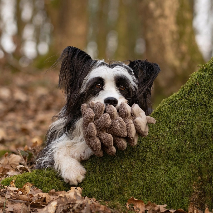 The CHEWFFON PINECONE SNUFFLE &amp; CRINKLE DOG TOY is a plush dog toy shaped like a brown pine cone, featuring a textured surface and a small embroidered label. Designed to promote dental hygiene while keeping your pup entertained, it is photographed on a plain white background.