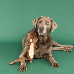 Meet the PET SHOP BY FRINGE STUDIO "MR. GNAW IT ALL" Flattie Dog Toy—a plush beaver toy featuring a super loud squeaker in the head, an ultra-soft plush body, and a diamond-patterned tail with crazy crinkle paper. This brown squeaky dog toy has a light beige belly and tail for extra fun and cuddle appeal.