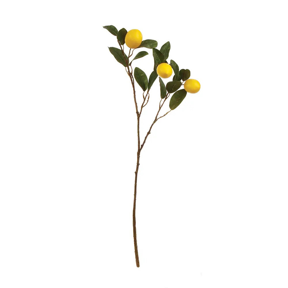 The NAPA HOME AND GARDEN - LEMON BRANCH 29.5" provides a vibrant touch with its green leaves and four ripe yellow lemons against a plain white background, capturing tropical beauty.