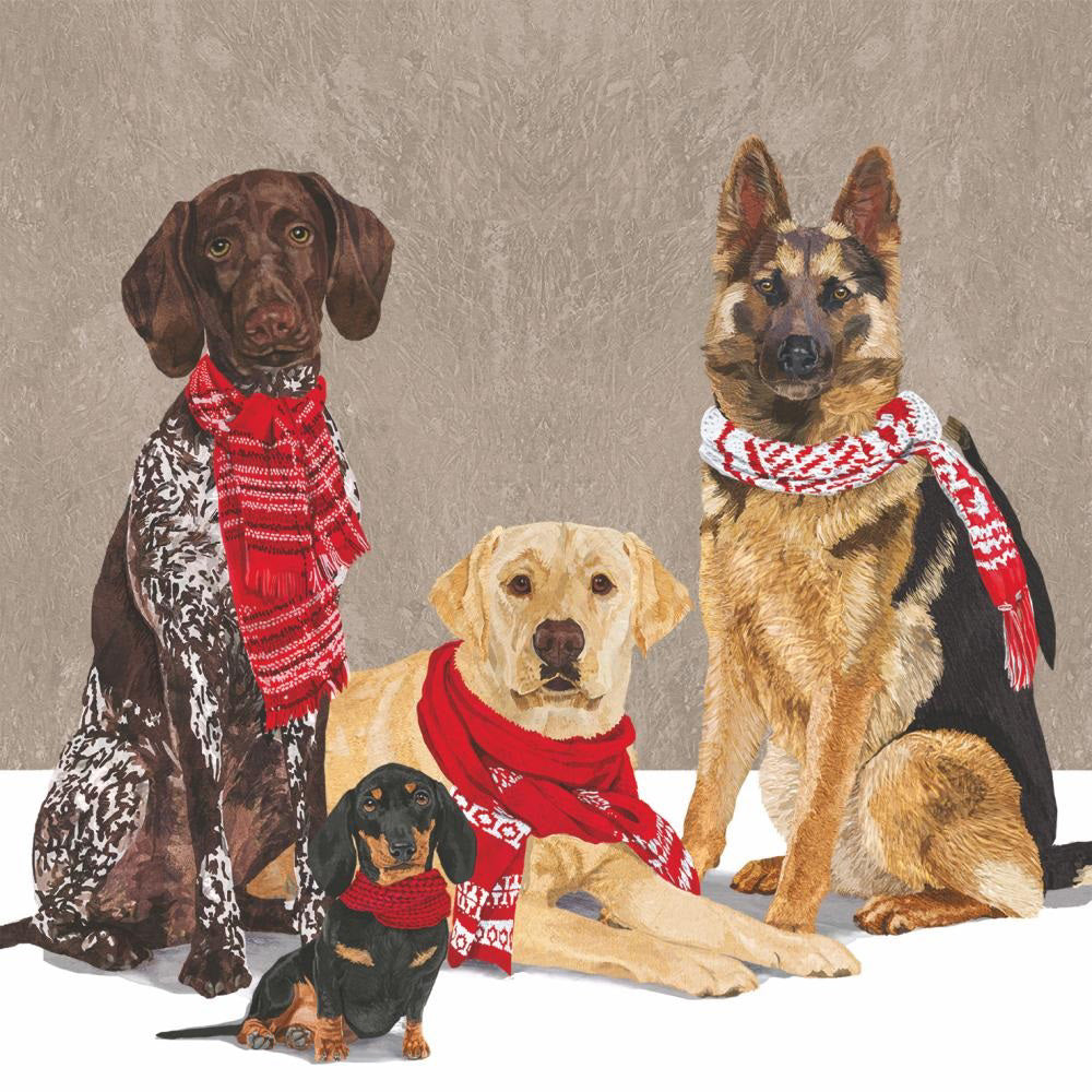 Four alert dogs—two large, one medium, and one small—sit side by side on a brown background wearing red scarves, just like the inviting scene featured on PAPER PRODUCTS DESIGN - SCARF DOGS BEVERAGE NAPKINS.