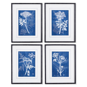 NAPA HOME AND GARDEN's Cyanotype Queen Anne Lace Prints: set of four framed botanical prints featuring white plant illustrations on blue backgrounds, arranged in a 2x2 grid with white mats and black frames.
