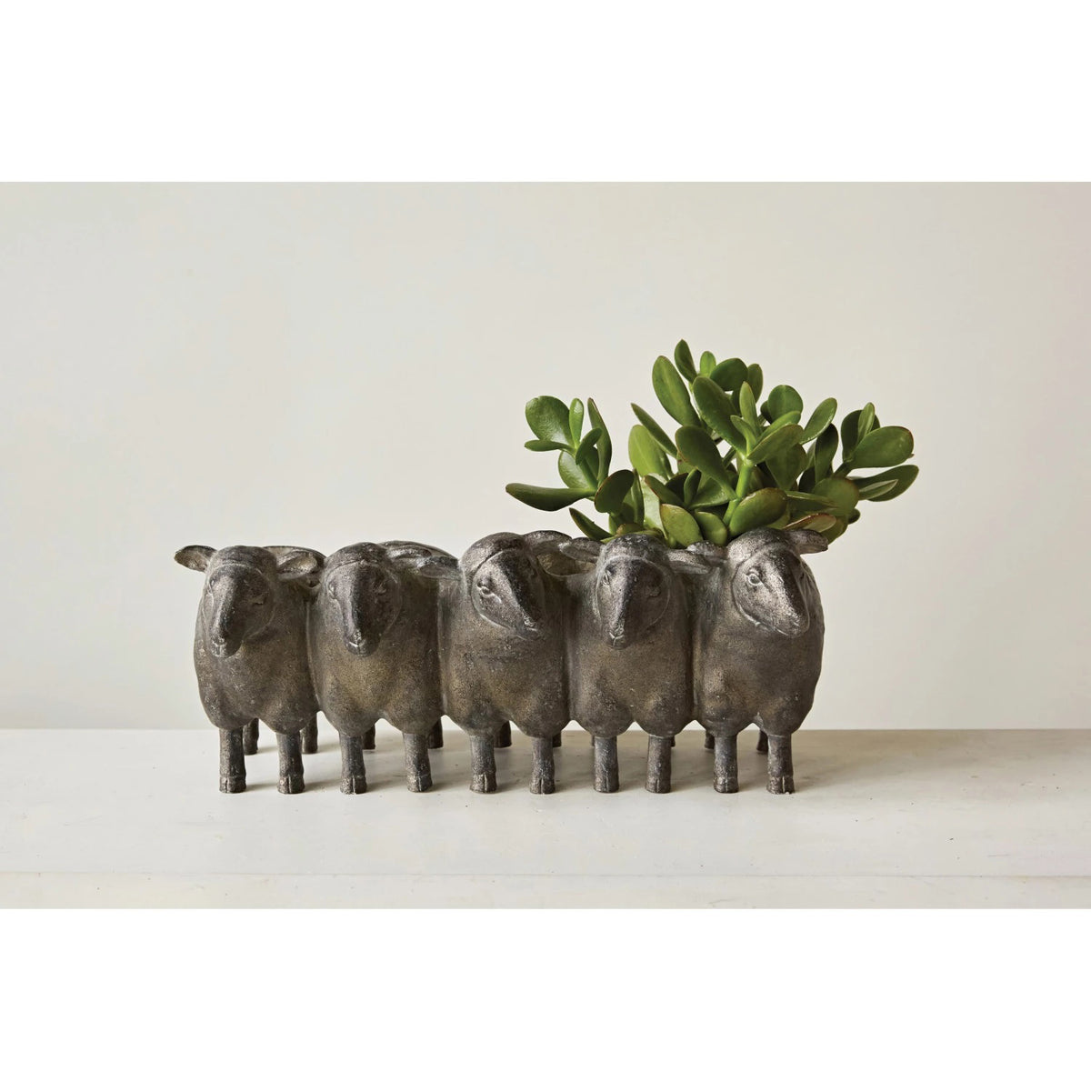 Introducing the CREATIVE COOP SHEEP PLANTER, a delightful decorative piece featuring six charming sheep figures arranged in a row. Each sheep has green succulent plants sprouting from the tops of their backs. Placed on a light-colored surface against a plain background, it creates an enchanting botanical display.