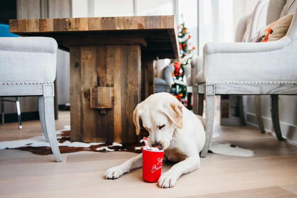 The HOLIDAY CLASSIC - HOT CHOCOLATE dog toy by PLAY PET LIFESTYLES/BRANDS features a festive red plush mug with “Hot Chocolate” embroidered on the front, topped with soft marshmallows and a striped red and white straw—making it the perfect holiday gift for playful pups.