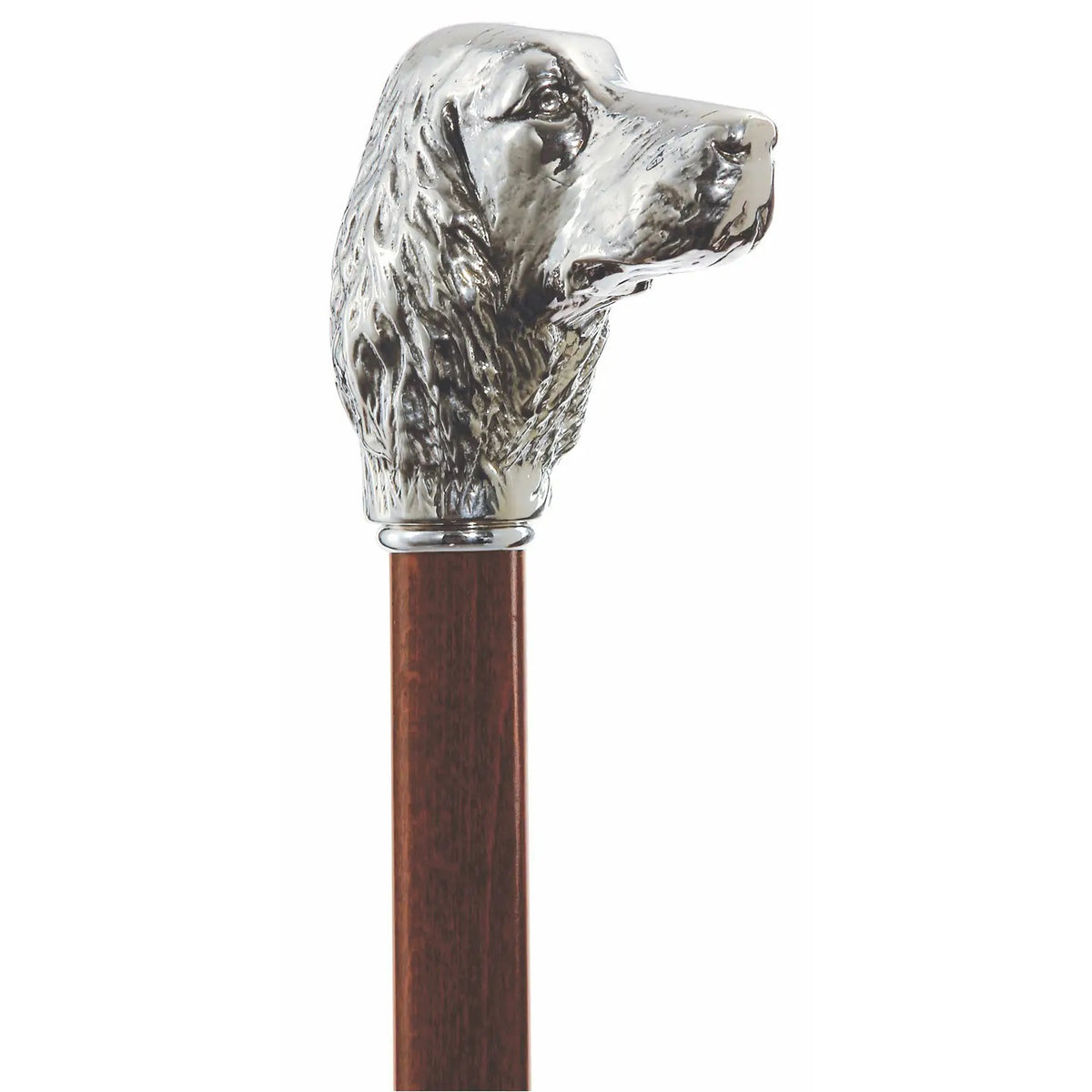 The HARVY CANES - IRISH SETTER CANE from HARVY CANES features a beechwood shaft, a silver plate collar, and a detailed Irish Setter handle shaped like a silver dog's head.