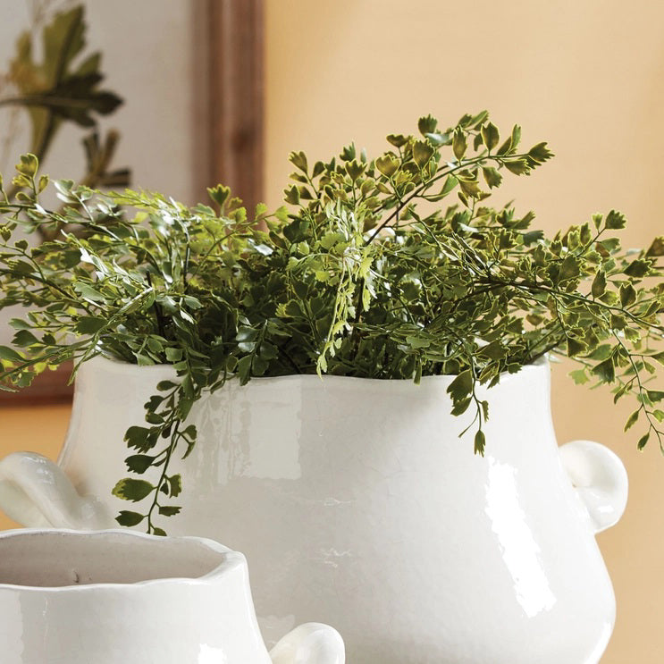 The NAPA HOME AND GARDEN - MAIDENHAIR DROP IN 18 features realistic greens and lush fronds with exposed roots in dark soil, enhancing home beauty against a white background.