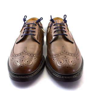 The STOLEN RICHES Dress Shoelace in Mission Blue features premium navy laces with gold metal tips, bundled and secured by a white band labeled "Stolen Riches - Since 1915" with a crown logo.