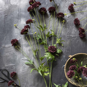 Several ABIGAIL AHERN - CLOVE STEM faux flowers with green stems and deep burgundy hues are arranged on a textured gray surface, accompanied by a pair of black scissors and a rustic bowl.