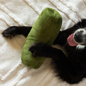 A black dog lies on a white textured blanket, holding the LAMBWOLF COLLECTIVE - GIANT PICKLE DOG TOY—a green, polka-dotted toy—under one paw, its tongue sticking out.