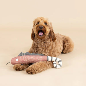 The FRINGE STUDIO - ONE IN A CHAMELEON CANVAS DOG TOY by PET SHOP BY FRINGE STUDIO is a plush toy designed to resemble a chameleon with a pink body, white speckles, and dark brown fins on its back. It features a black and white striped tail, stubby legs, and a smiling face with googly eyes. Made with non-toxic ink for safe play, this interactive dog toy is set against a plain white background.