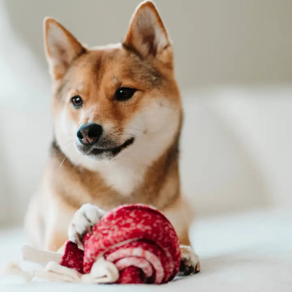LAMBWOLF COLLECTIVE - LOLLIPOP DOG TOY - Fearrington Village