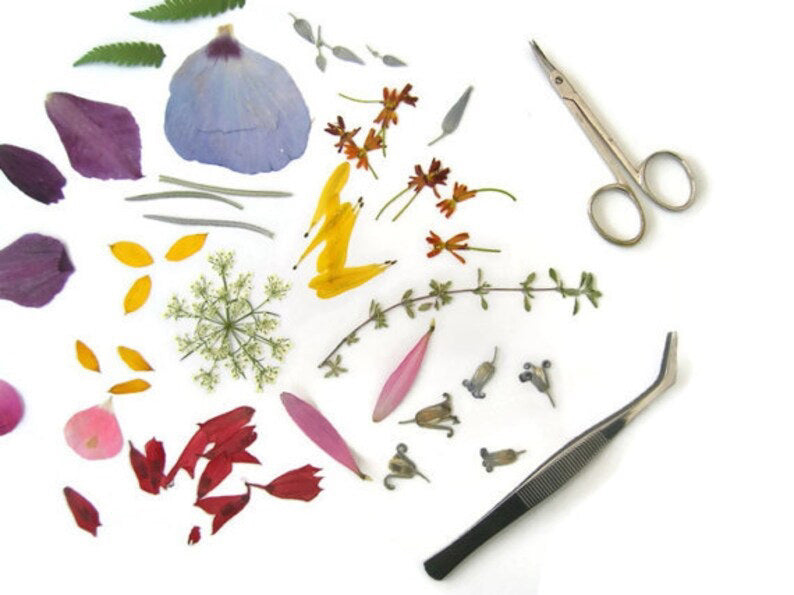 The JUGGLE GREETING CARD by PETAL PEOPLE PRESS showcases a whimsical figure crafted from pressed flowers on a white background, featuring a purple bloom head, green stem limbs, a body with purple blooms, and an orange petal halo—an enchanting piece of botanical art.