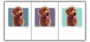 A premium recycled PAPER RUSSELS - AMBER DOODLE BOX NOTES showcases a fluffy, light brown dog with its tongue out on a teal background. Framed with a black border, "Doodle" is visible in the lower right corner, offering an eco-friendly touch. Brand: PAPER RUSSELLS.