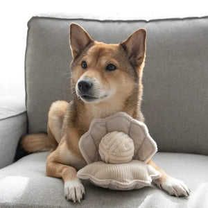 The LAMBWOLF COLLECTIVE - OYSTER POP DOG TOY by LAMBWOLF COLLECTIVE is a soft, plush toy representing a light beige shell with a round, textured pearl inside. Crafted from a corduroy-like material, the shell and pearl showcase multiple textures, giving them a cozy and inviting appearance. This Sea World Edition toy is displayed against a neutral fabric background.