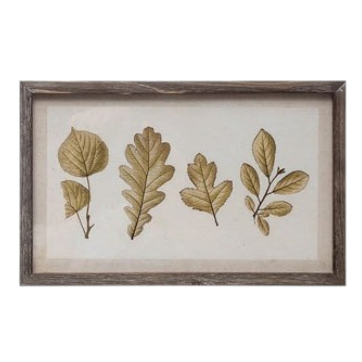 The CREATIVE COOP WOOD-FRAMED WALL ART WITH BOTANICALS OR BUTTERFLIES, MEDIUM, showcases four unique pressed leaves on a light background, adding rustic, vintage charm to any nature-inspired space.