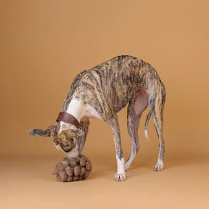 The CHEWFFON PINECONE SNUFFLE & CRINKLE DOG TOY is a plush dog toy shaped like a pinecone, featuring soft, textured brown scales and a light brown tip. Designed to engage your pet and support dental hygiene, this interactive toy is displayed against a plain white background.