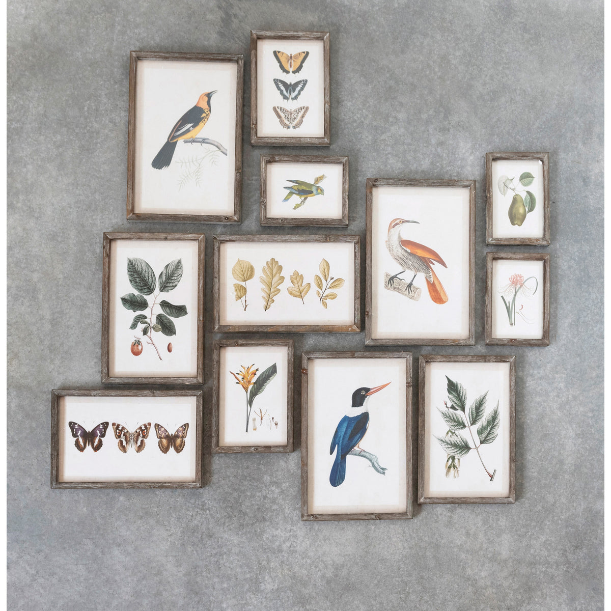 The CREATIVE COOP Wood-Framed Wall Art with Botanicals or Butterflies, Small, showcases a vintage botanical illustration of a yellow-orange flower and green leaves—timeless wall art displayed against a white background.