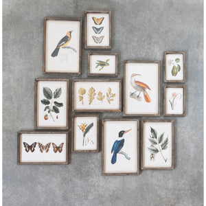 The CREATIVE COOP WOOD-FRAMED WALL ART WITH BOTANICALS OR BUTTERFLIES, MEDIUM, showcases four unique pressed leaves on a light background, adding rustic, vintage charm to any nature-inspired space.