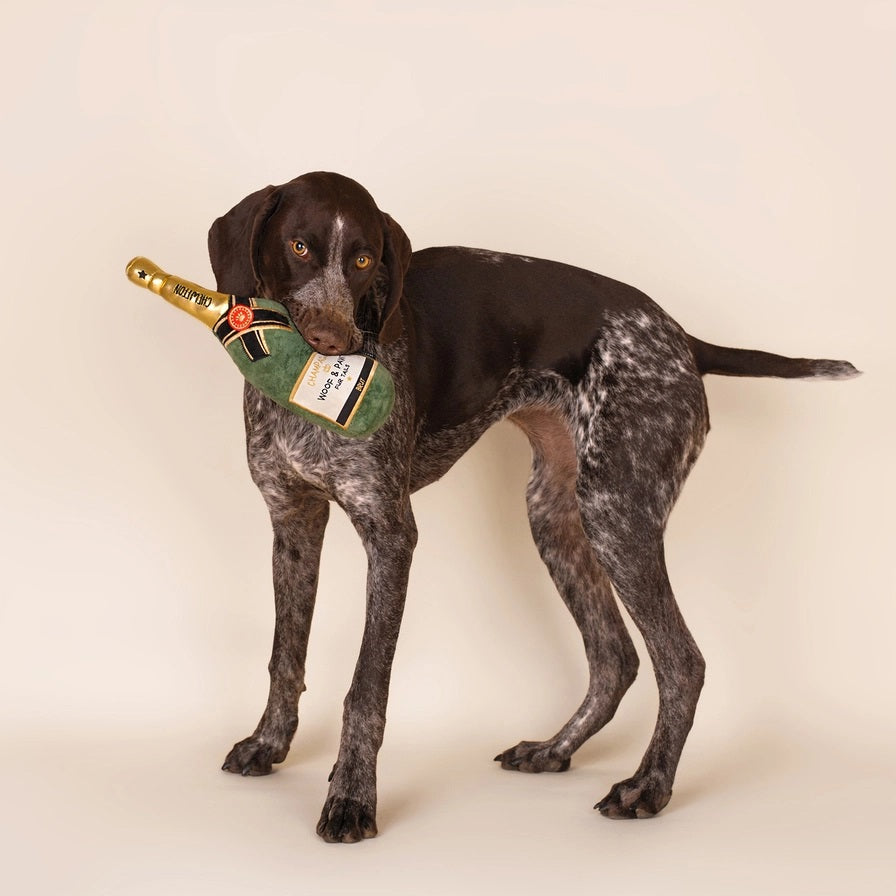 Crafted by CHEWFFON, the PLUSH CHAMPAGNE BOTTLE SQUEAKY DOG TOY is designed to resemble a champagne bottle with playful gold, black, and red accents. The neck features the label “CHAMPUTON,” while the front reads “CHAMPAGNE WOOF & PAWTY FUR TAILS BRUT.” This interactive dog toy is perfect for pups who love to celebrate.