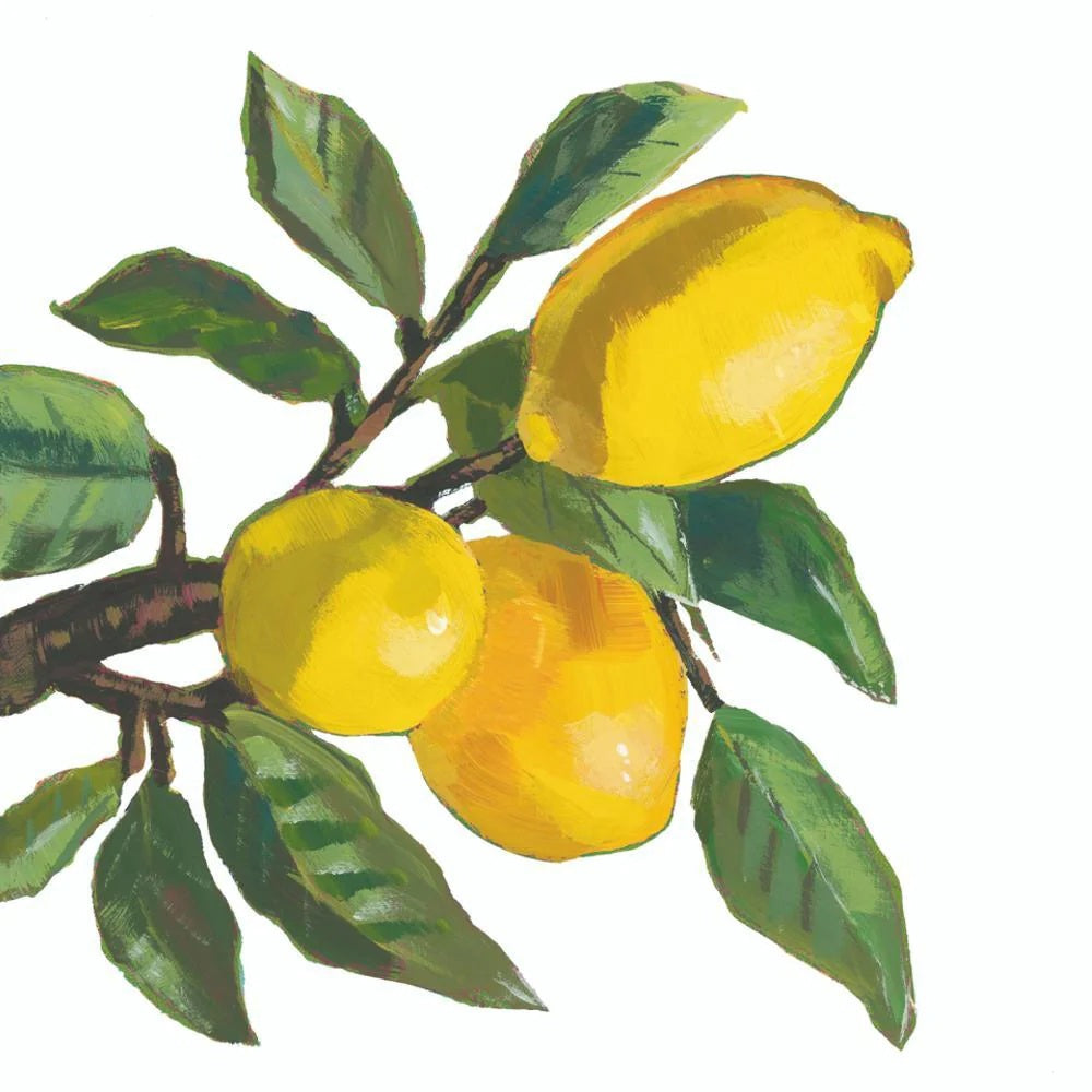 Featuring a painted illustration of three yellow lemons hanging from a branch with green leaves against a white background, the LEMON MUSEE BEVERAGE NAPKINS by PAPER PRODUCTS DESIGN are 3-ply paper napkins made in Germany.