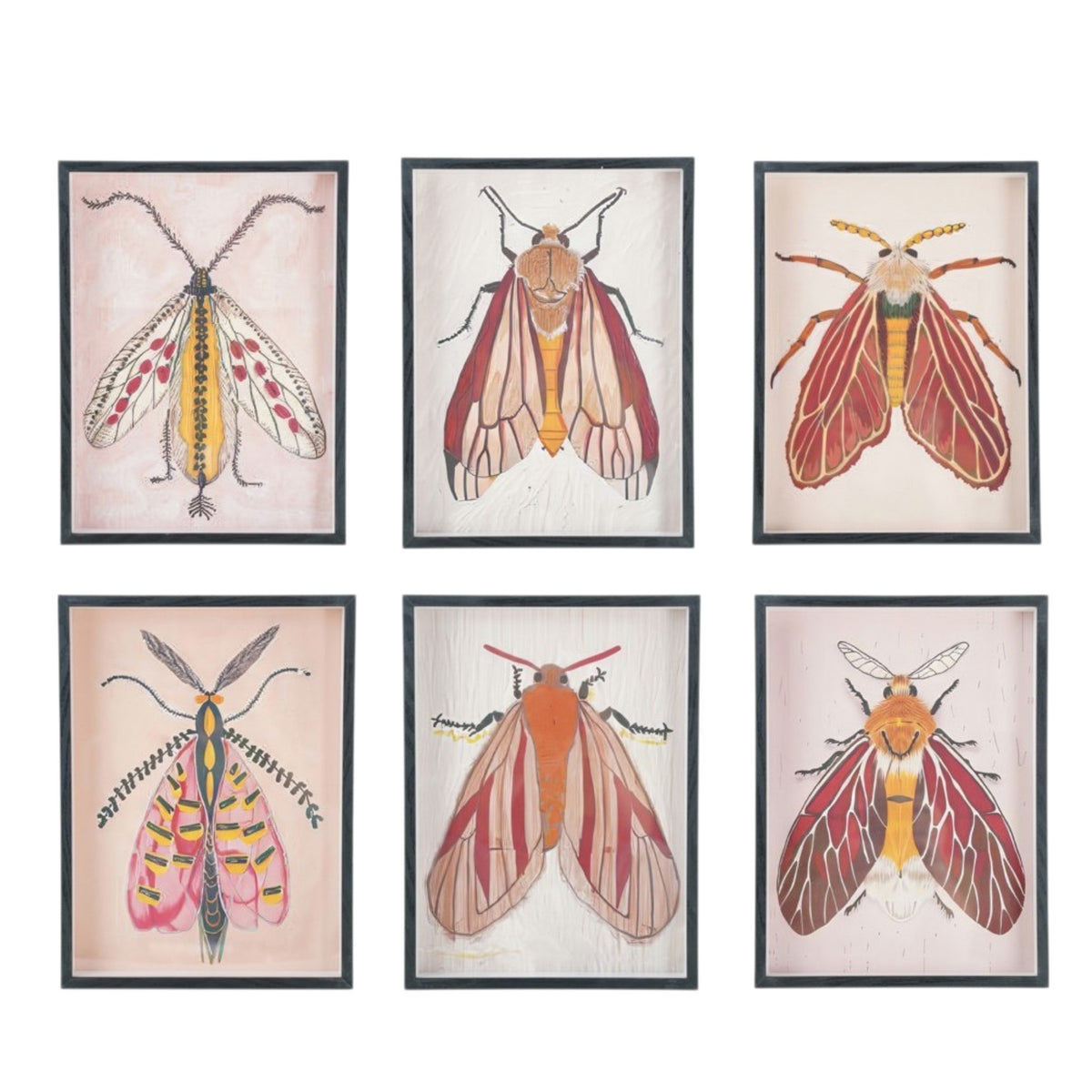 The CREATIVE COOP FRAMED ACRYLIC WALL ART, MOTHS features a vibrant moth with red and yellow wings, a yellow segmented body, and feathery antennae on a light background—ideal for botanical-themed décor.