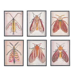 The CREATIVE COOP FRAMED ACRYLIC WALL ART, MOTHS features a vibrant moth with red and yellow wings, a yellow segmented body, and feathery antennae on a light background—ideal for botanical-themed décor.
