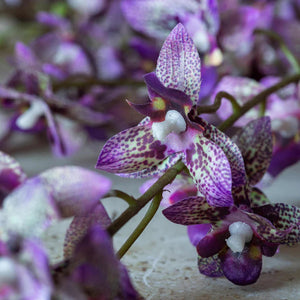 The ABIGAIL AHERN ONCIDIUM ORCHID is a single artificial stem featuring sparse small purple flowers and buds on delicate branches, presented against a plain white background.