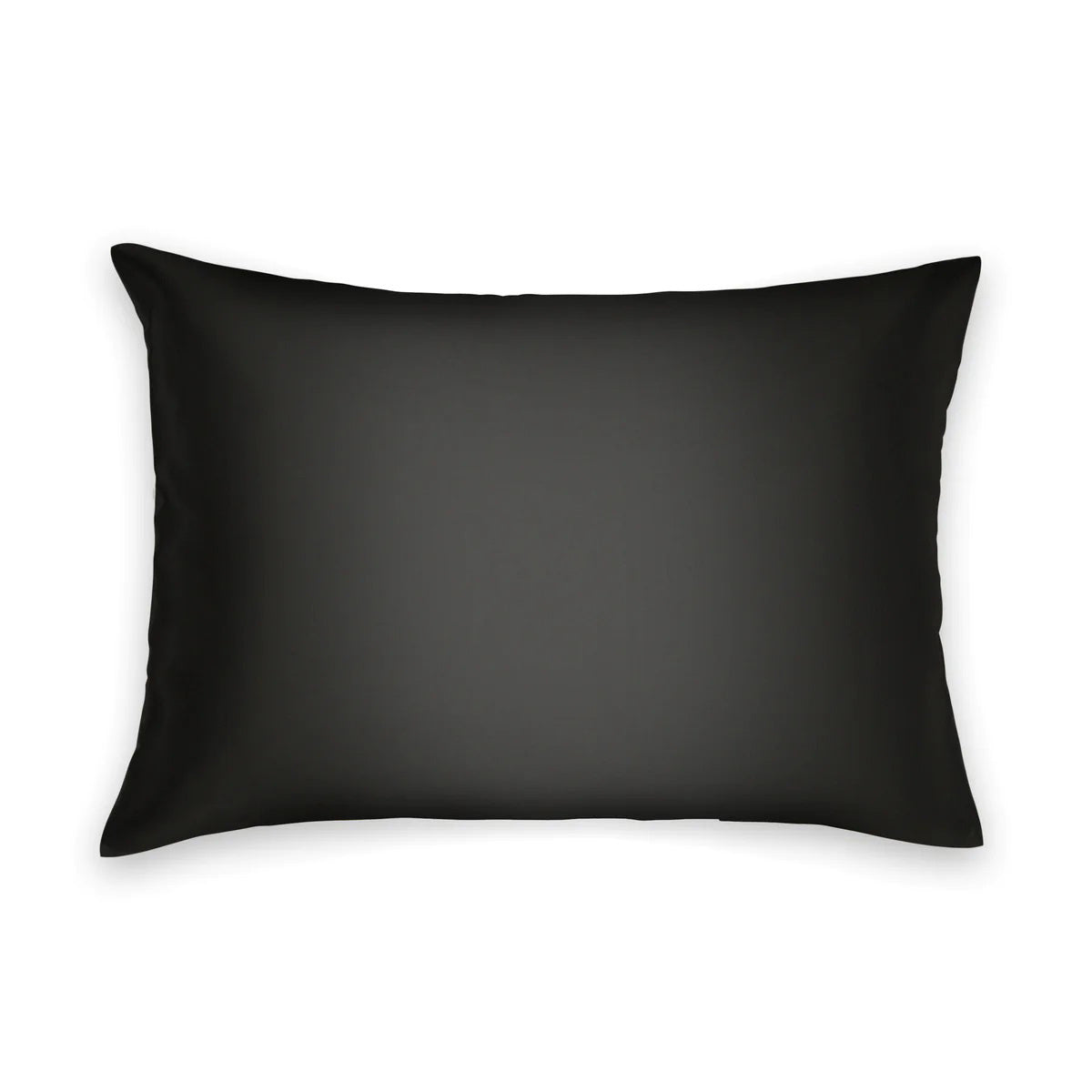 A black silk pillowcase is neatly packaged in a sleek black box with a white label that features an elegant &quot;B&quot; logo at the top. The label reads &quot;BRANCHE - CHARMEUSE PILLOW CASE SILK: Sleep in Luxury. Wake up Beautiful,&quot; while promoting skin hydration and enhancing hair care.