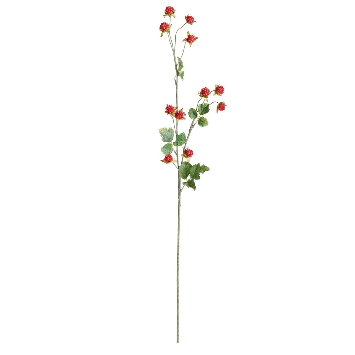 The NAPA HOME AND GARDEN Wild Raspberry Stem 31" boasts clusters of small red flowers and lush green leaves on a long, slender stem. It provides a realistic look, perfect for enhancing interior decor against white backgrounds with its vibrant foliage and blooms.