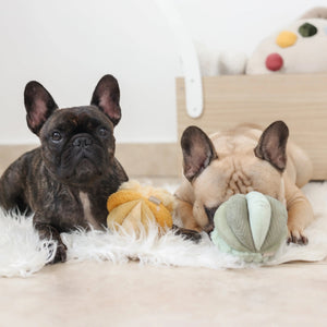 The LAMBWOLF COLLECTIVE - TOTO SILENT SNUFFLE BALL DOG TOY is a soft, light green plush ball crafted from various textured fabric segments stitched together in a flower-like or abstract shape.