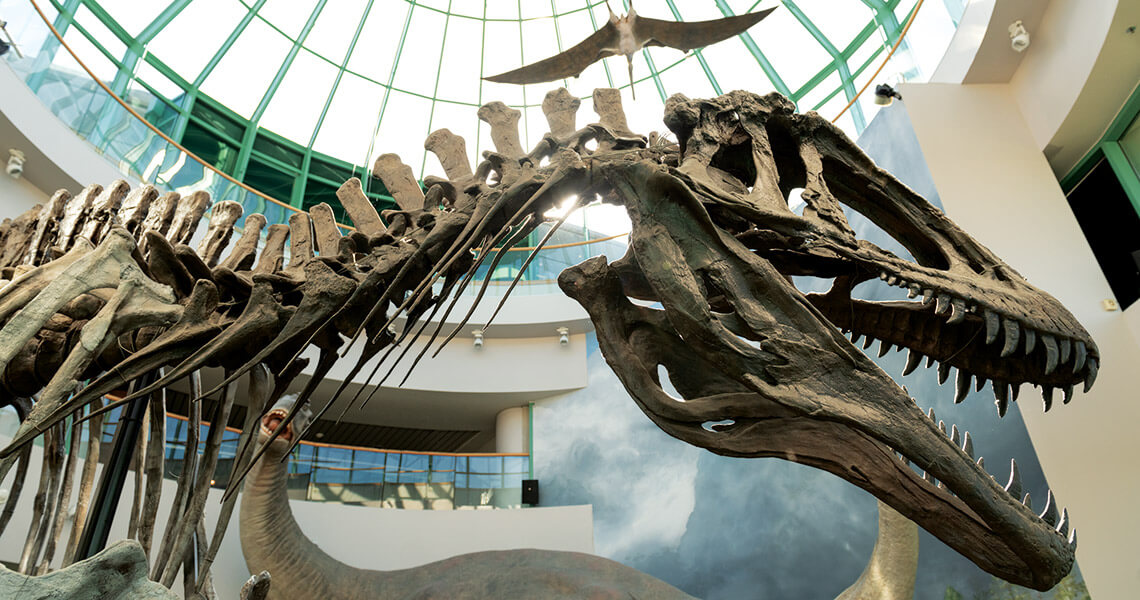 A large dinosaur skeleton is displayed in a museum under a glass dome ceiling, with a flying pterosaur model hanging above. Other exhibit details and structures are visible in the background.