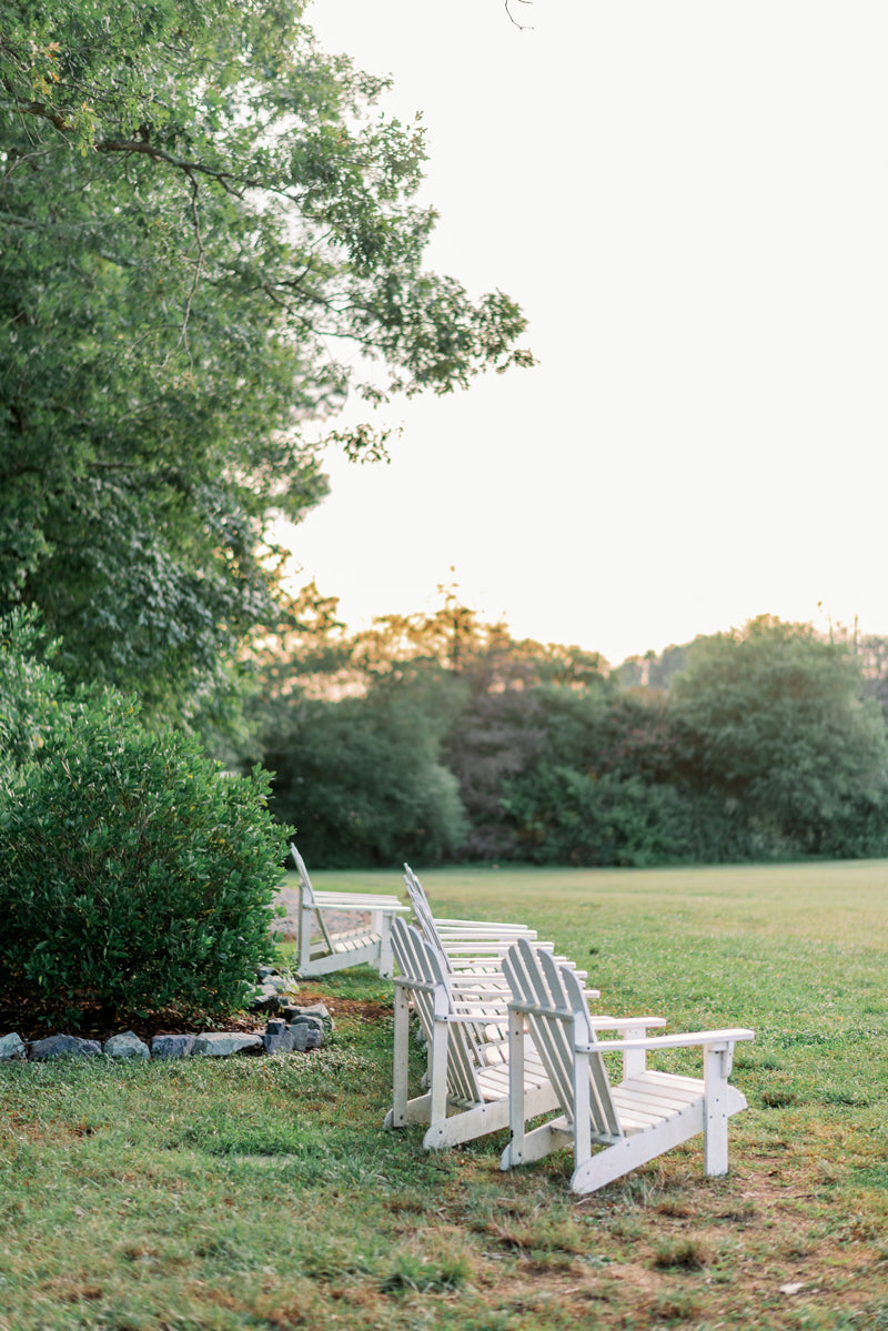 Four white Adirondack chairs are arranged in a row on a grassy lawn, facing away from the camera towards a scenic view of trees and a bright, soft sky at sunset.