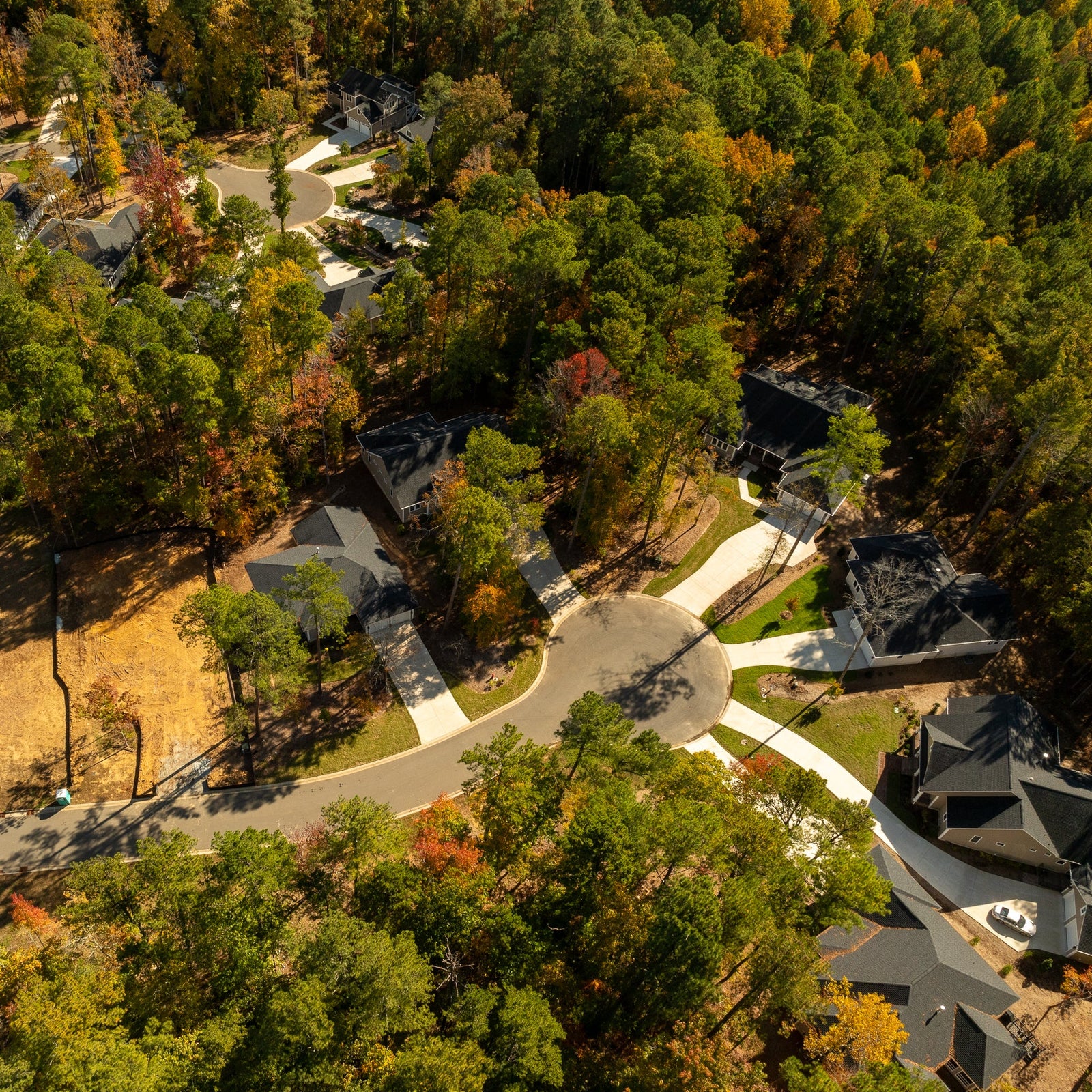 Aerial view of a residential area with houses surrounded by trees in autumn colors.