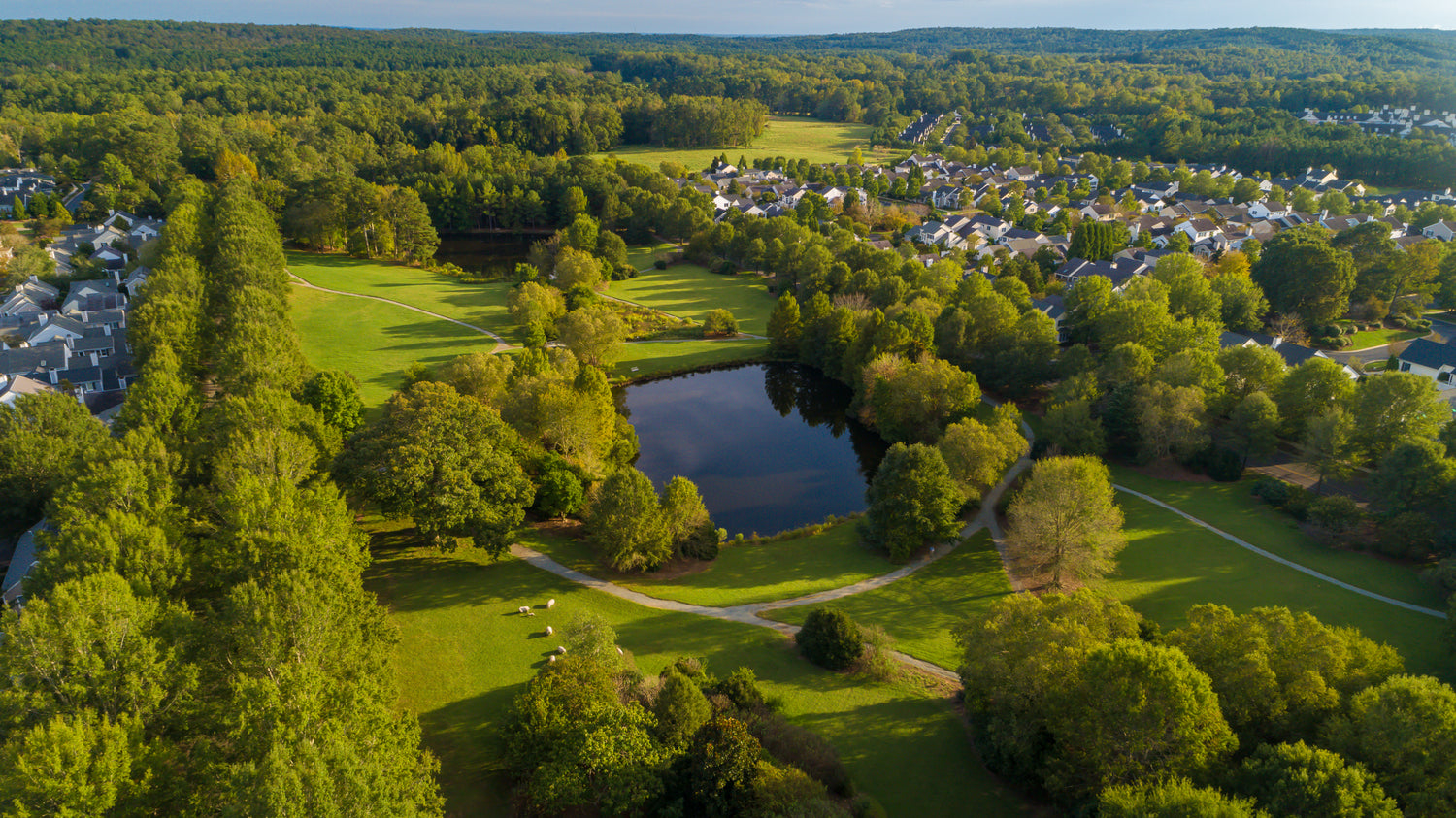 Aerial view of a suburban neighborhood with houses surrounded by trees, a central pond, and winding walking paths, all set in a lush green landscape.