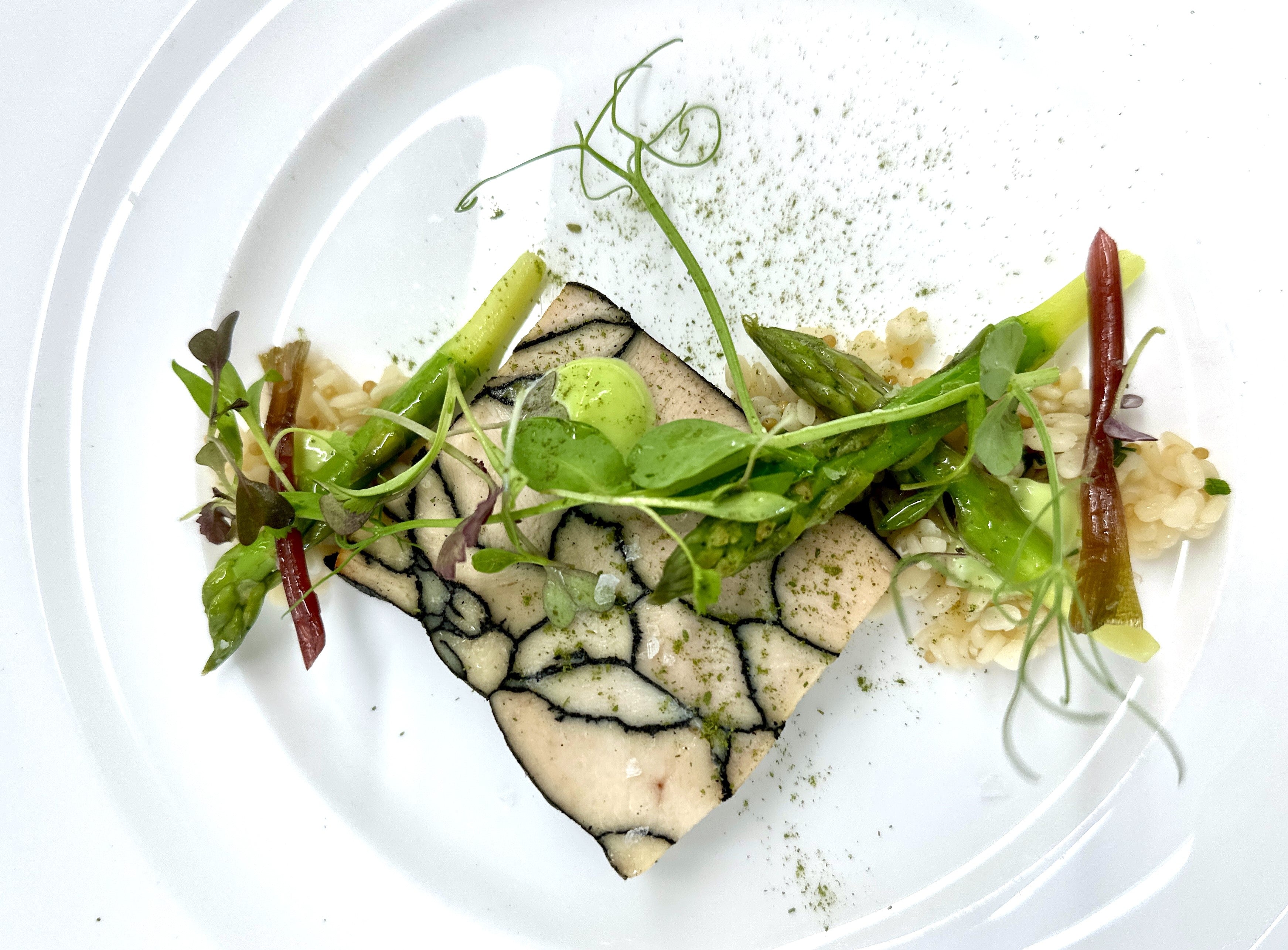 A gourmet dish featuring a rectangular slice of food with a black-veined pattern, garnished with microgreens, asparagus, and colorful vegetables on a white plate, presented with delicate artistic flair.