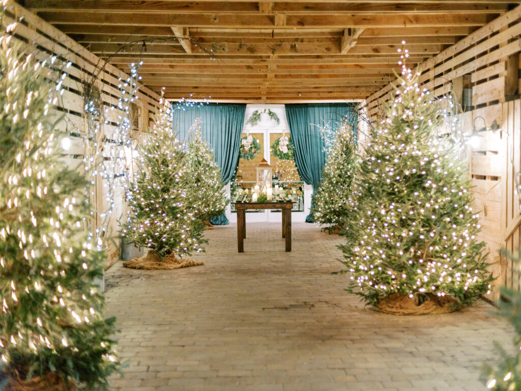 A rustic barn hallway decorated with lit Christmas trees on both sides, draped teal curtains at the end, and a wooden table with candles under a festive wreath.